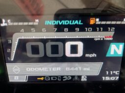 Aprilia Tuono 660 full