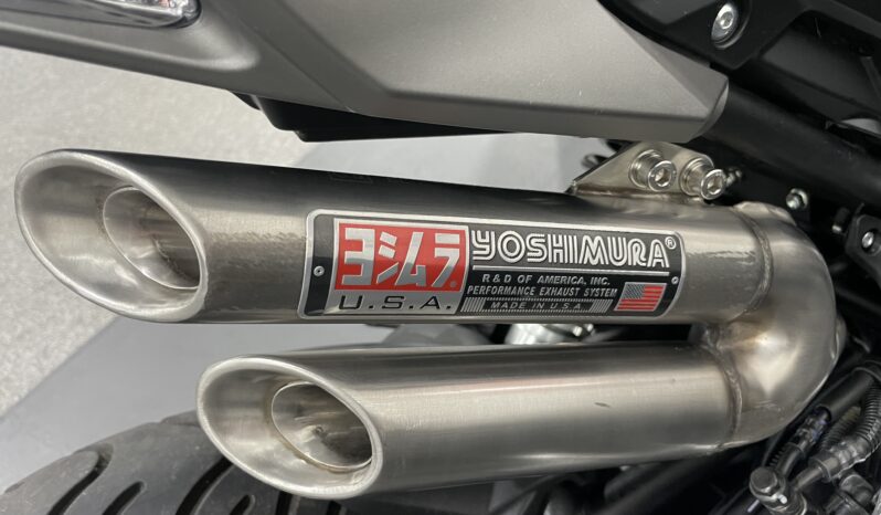 Benelli TNT 125 full
