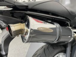 Triumph Tiger 1050 full