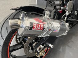 Suzuki GSX-R 1000 Street Fighter full