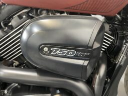 Harley-Davidson Street ROD 750 full