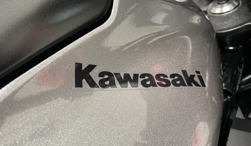 Kawasaki ER-6F 650 full
