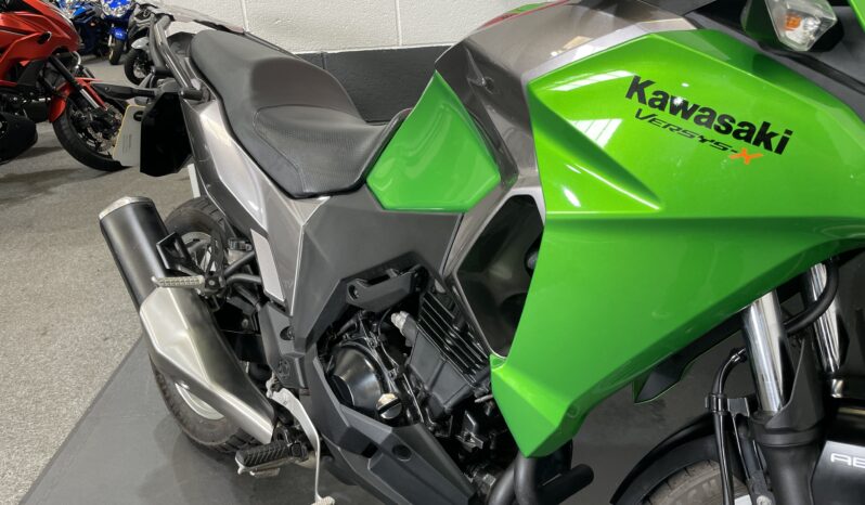 Kawasaki Versys 300 full